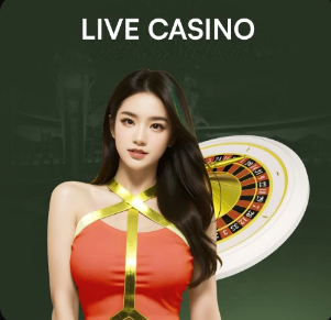 03月21日 女足亚洲杯决赛 日本女足vs澳大利亚女足 全场录像回放